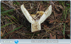 0_fbaec_68b15706_orig.png