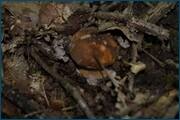 0_d259b_e570de5_orig.jpg