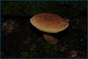 0_d2a1e_2f23d607_orig.jpg