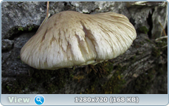 0_e9363_4d4e8ff_orig.png