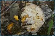 0_d0976_98ef2d66_orig.jpg