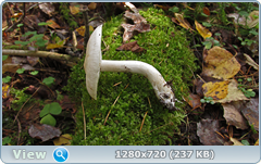 0_f161d_fde2f863_orig.png