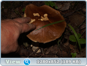 0_d4c1e_a02428e4_orig.png