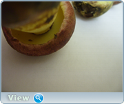 0_13098e_38a95be3_orig.png