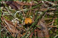 0_c717b_2fd34066_orig.jpg