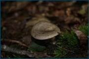 0_d239e_f1cca4ba_orig.jpg