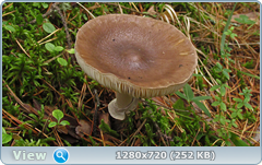 0_fbb94_c2304d71_orig.png