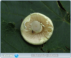 0_fbba4_ad64a487_orig.png
