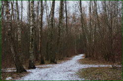 0_112be3_7045e388_orig.png