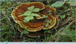 0_e9924_c766ae2d_orig.png