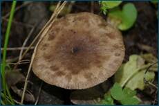 0_ce0a3_77b21127_orig.jpg