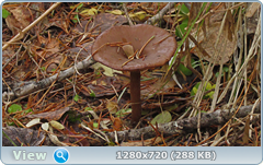0_f6dbe_c901e275_orig.png