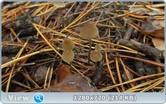 0_f279e_9ac8ed62_orig.png