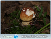 0_d4bc4_4ae9c820_orig.png