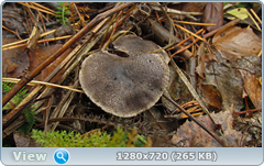 0_f278a_56029ec2_orig.png