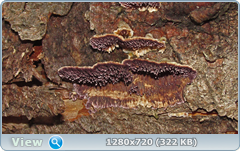 0_f5628_8835498c_orig.png
