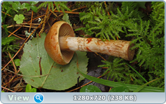 0_eb216_8728ebce_orig.png