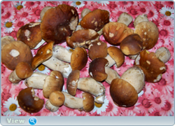 0_f3e67_612942b3_orig.png