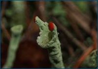 0_d5e57_33ac0c09_orig.jpg