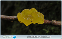 0_e6d0f_4c50a013_orig.png