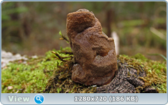 0_f4d46_f366f05b_orig.png