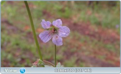 0_e391a_21ea93e0_orig.png