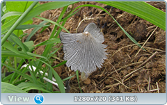 0_e6a56_81de1b1_orig.png