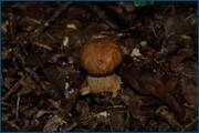 0_d2a06_350934a8_orig.jpg