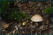 0_d2a2c_f64e996c_orig.jpg