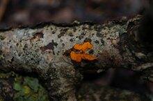 0_c8e92_7021f6a_orig.jpg