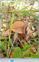 0_f513b_635491e7_orig.png