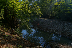 0_d964b_e0b26703_orig.png