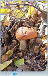 0_f610e_fd83525a_orig.png