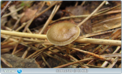 0_e376e_f8802030_orig.png
