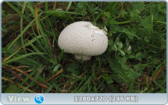 0_ef69d_8d011862_orig.png