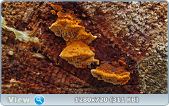 0_f3e68_2e2f1470_orig.png