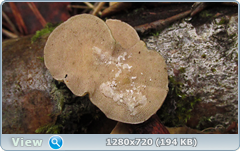 0_f6e44_6c7beaca_orig.png
