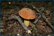 0_d3278_fdcaf024_orig.jpg