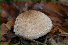 0_c6008_cdba901b_orig.jpg
