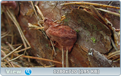 0_f5682_e5e8c7a9_orig.png