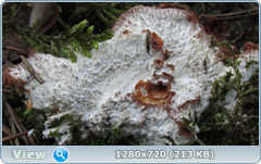 0_fc3de_d26624d4_orig.png