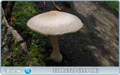 0_ea3d7_9f242270_orig.png