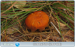 0_f4f9d_5c52282_orig.png