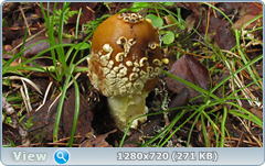 0_eb279_671c327_orig.png