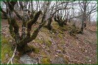 0_c6b1c_4807029f_orig.jpg
