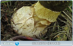 0_ee6b4_5f3d4edb_orig.png
