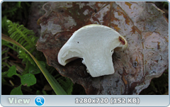 0_edabd_13c3d26f_orig.png