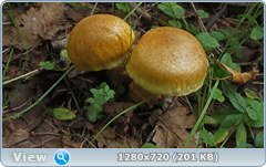 0_efe31_87d840f8_orig.png