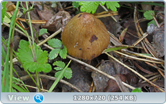0_e94b8_e90bc0a7_orig.png