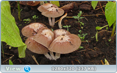 0_e667b_b3f654fd_orig.png